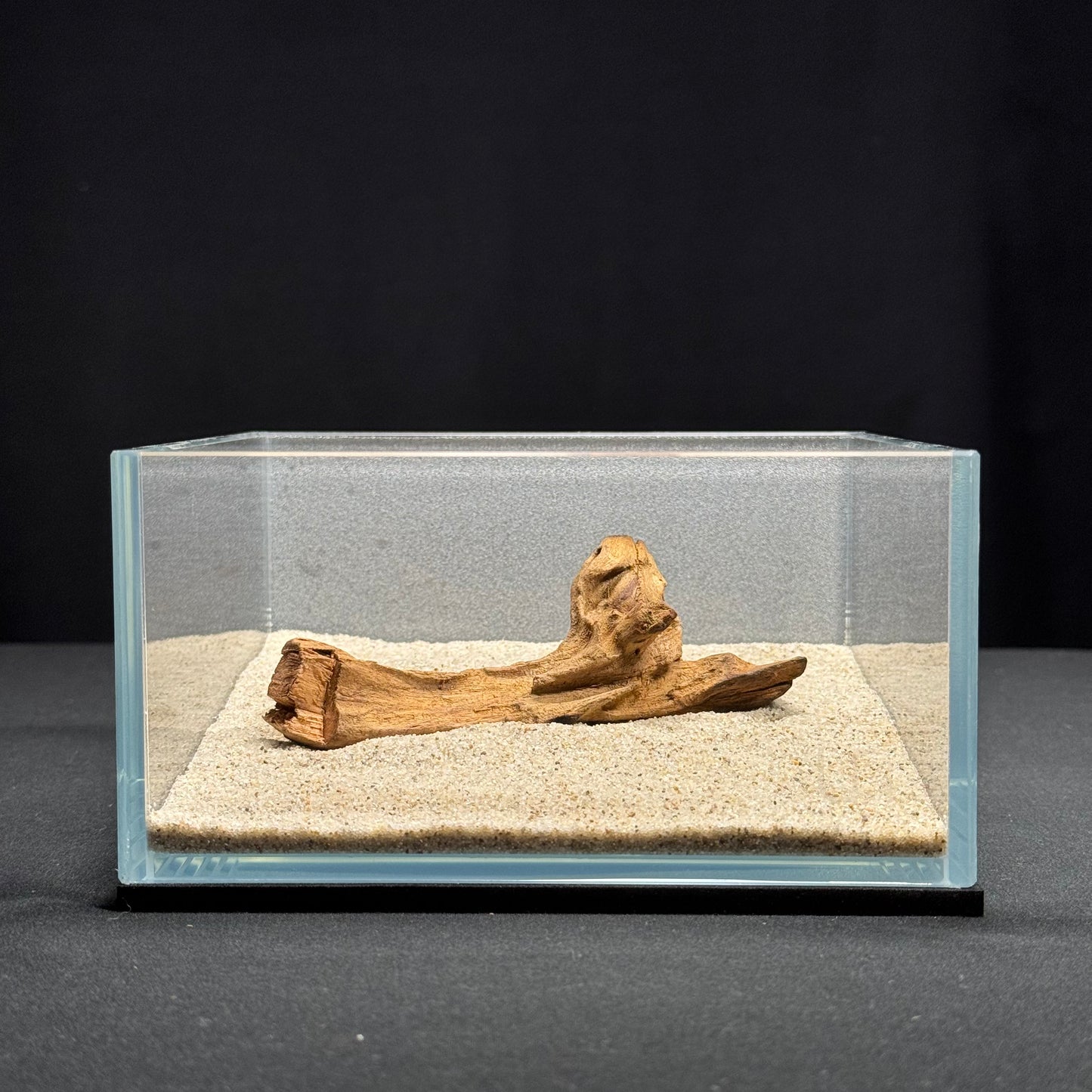 4”-6” Malaysian Driftwood (NEW)