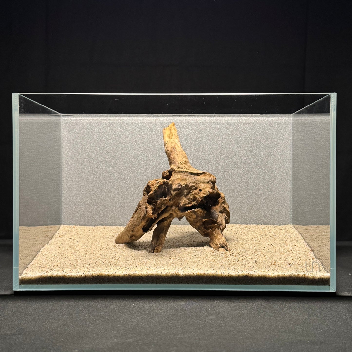 7”-8” Malaysian Driftwood