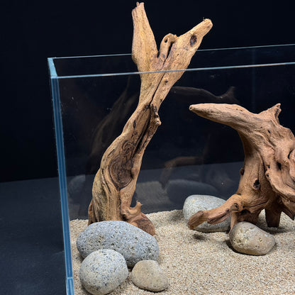 2 Gallon Complete Nano Hardscape Setup