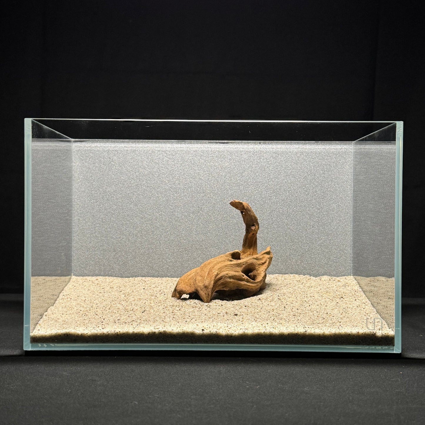 4”-6” Malaysian Driftwood