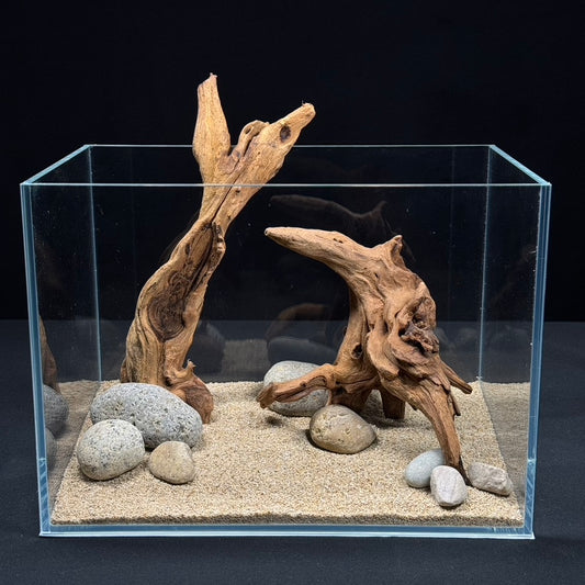 2 Gallon Complete Nano Hardscape Setup