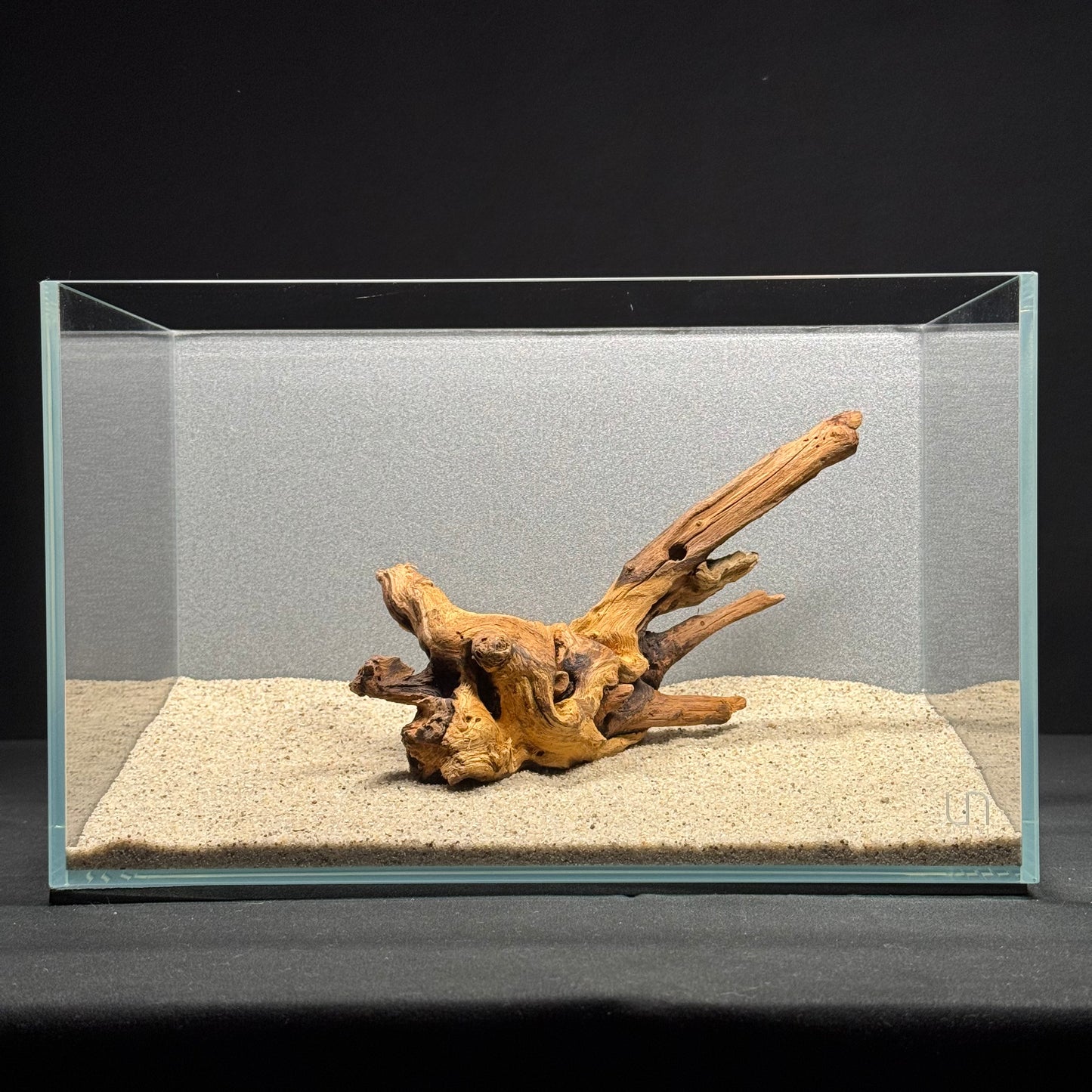 8”-10” Malaysian Driftwood (NEW)