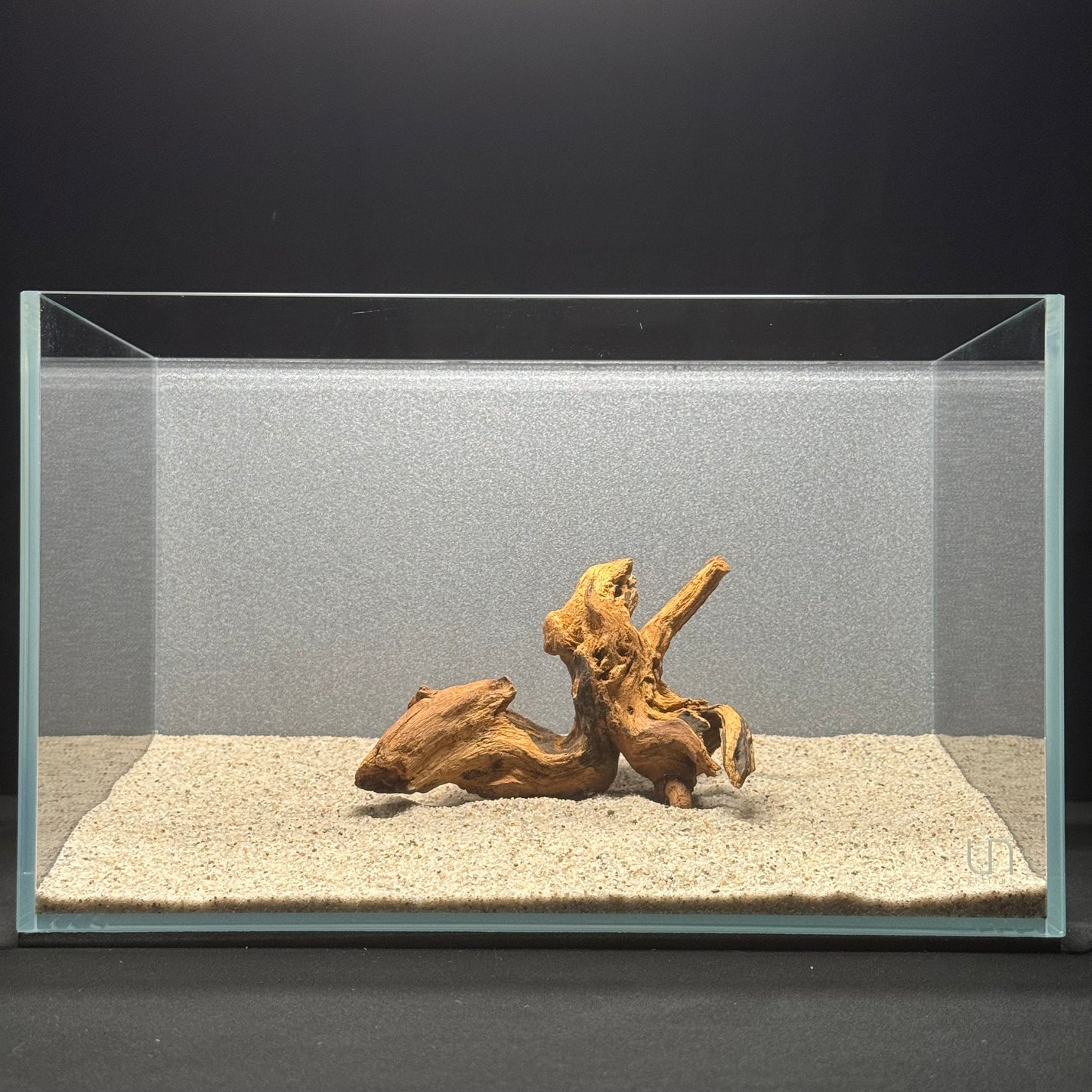 5”-8” Malaysian Driftwood