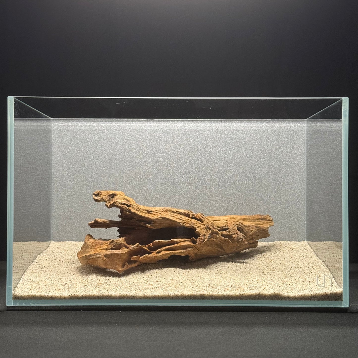 9”-11” Malaysian Driftwood