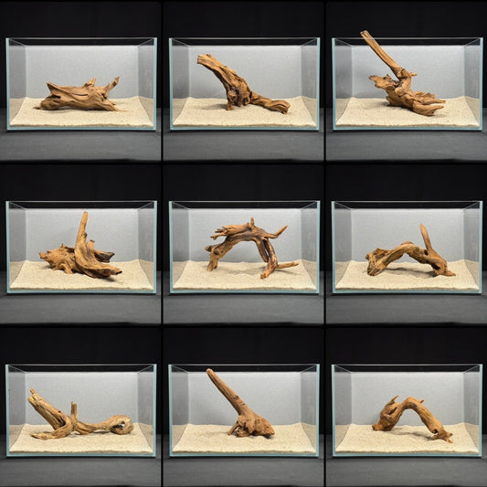 7”-11” Malaysian Driftwood