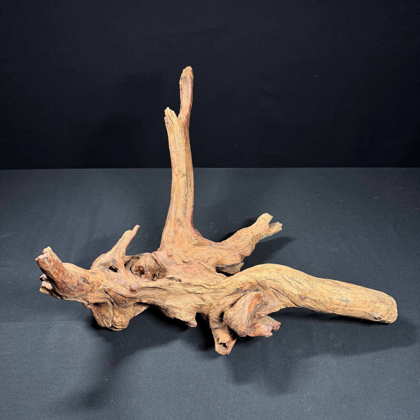 18” Malaysian Driftwood
