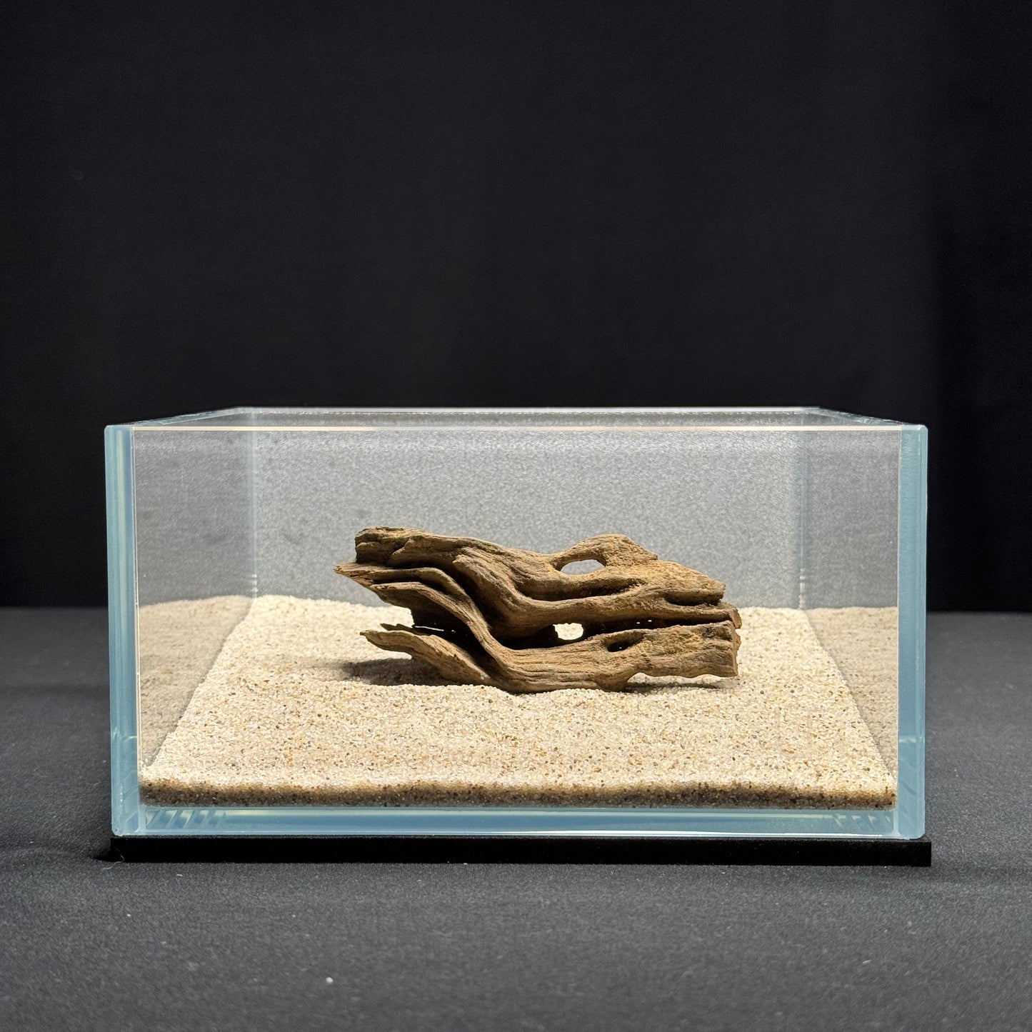 3”-5” Dragon Wood