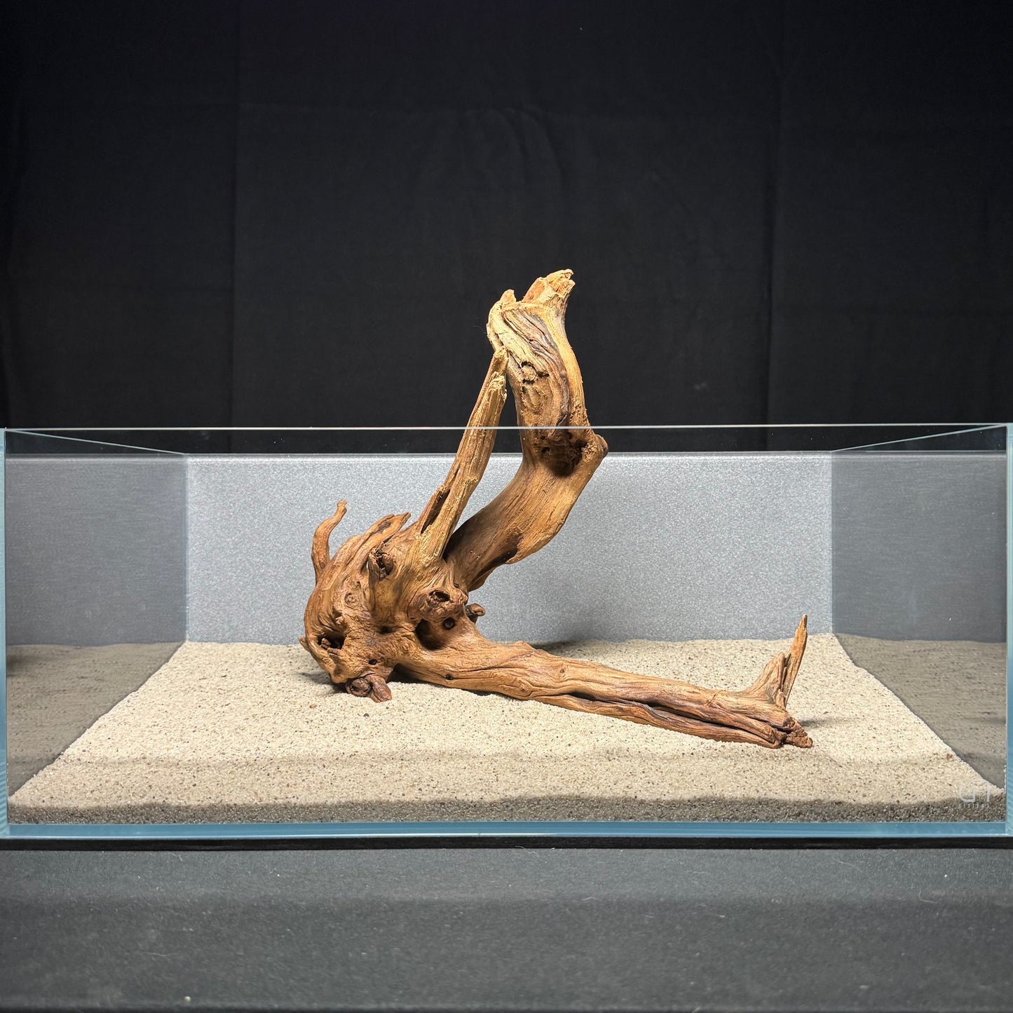 12”-14” Malaysian Driftwood
