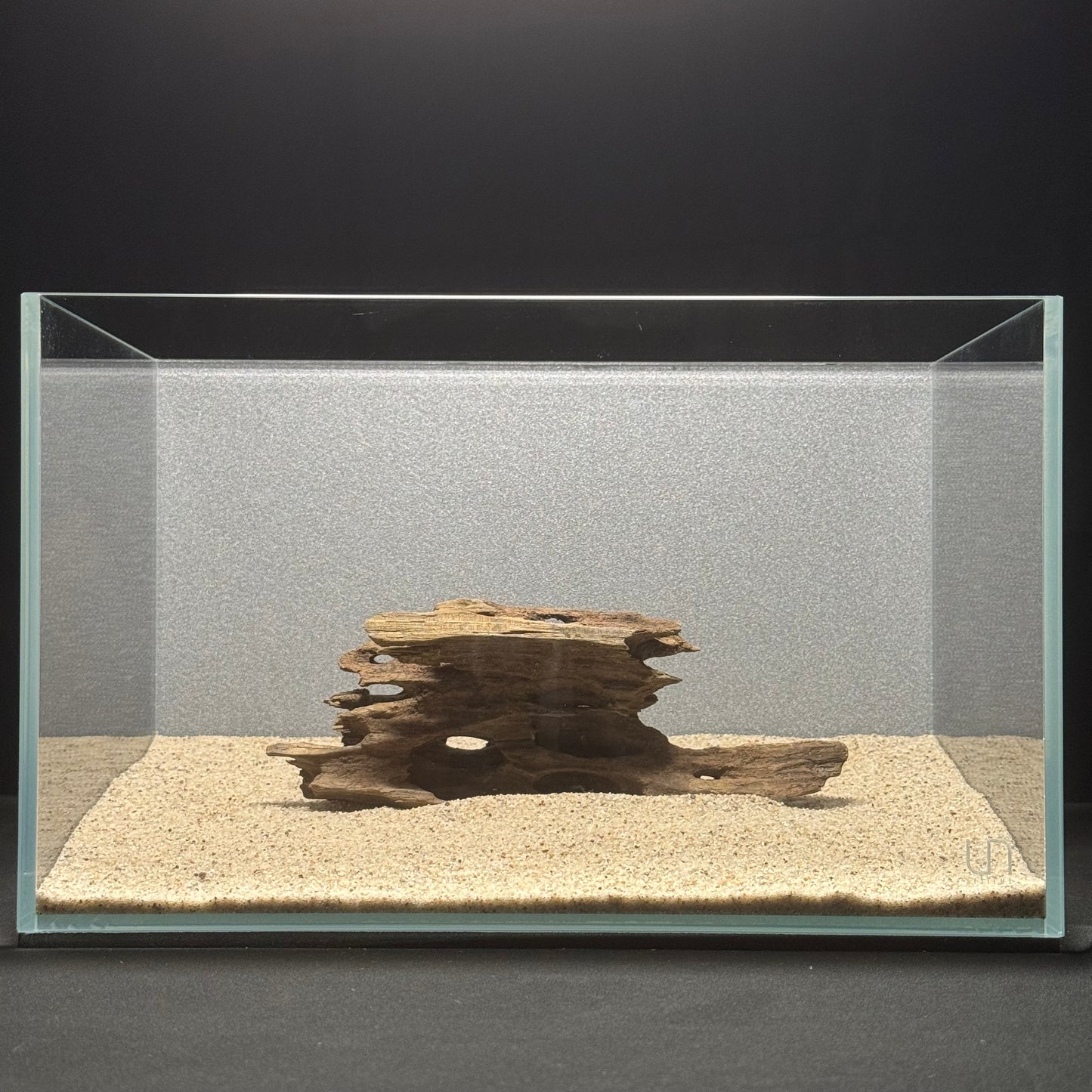 5”-8” Dragon Wood