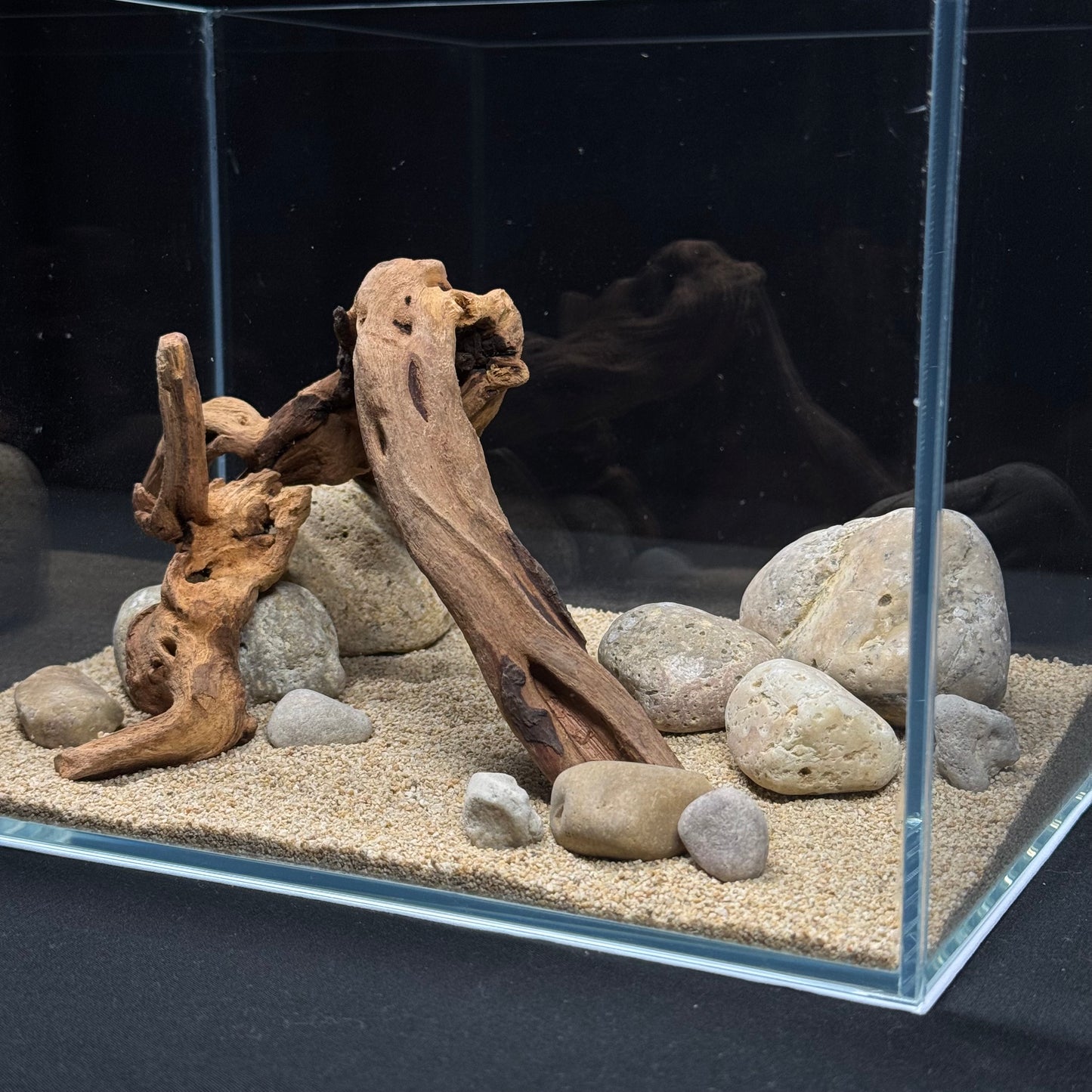 2 Gallon Complete Nano Hardscape Setup