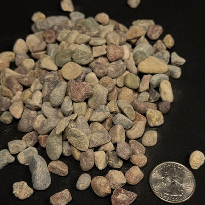 Patagonia Pebbles