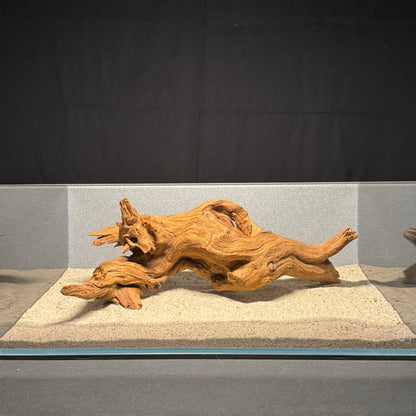 12”-16” Malaysian Driftwood