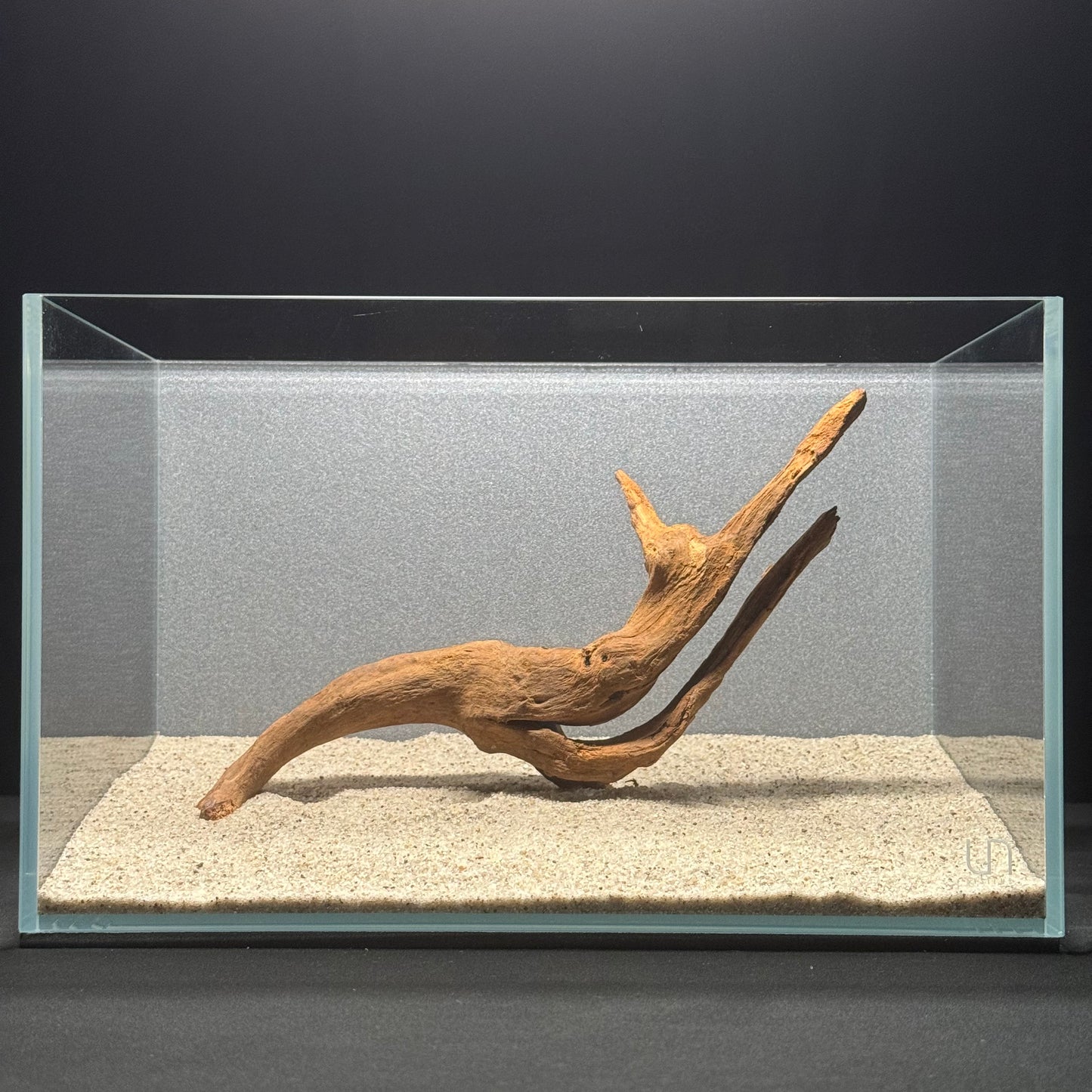 9”-11” Malaysian Driftwood