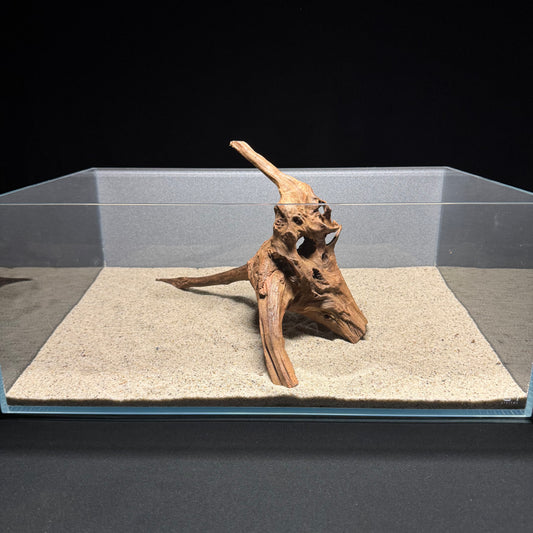Malaysian Driftwood for Aquarium (10-12") [Tannins]