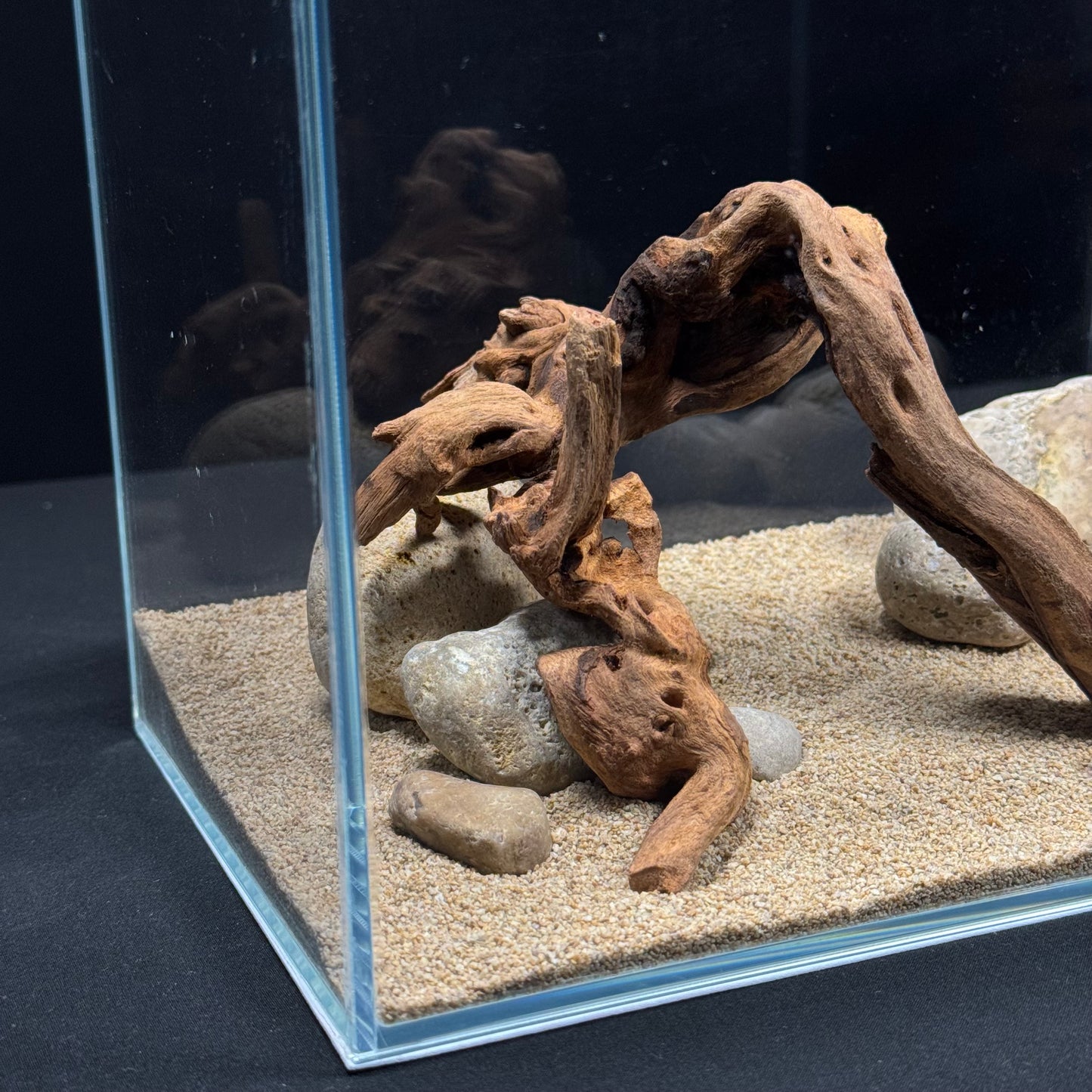 2 Gallon Complete Nano Hardscape Setup