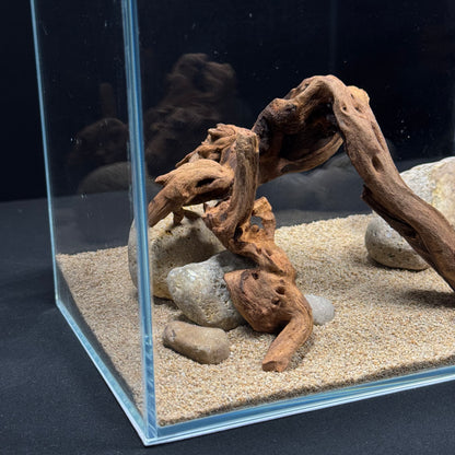 2 Gallon Complete Nano Hardscape Setup