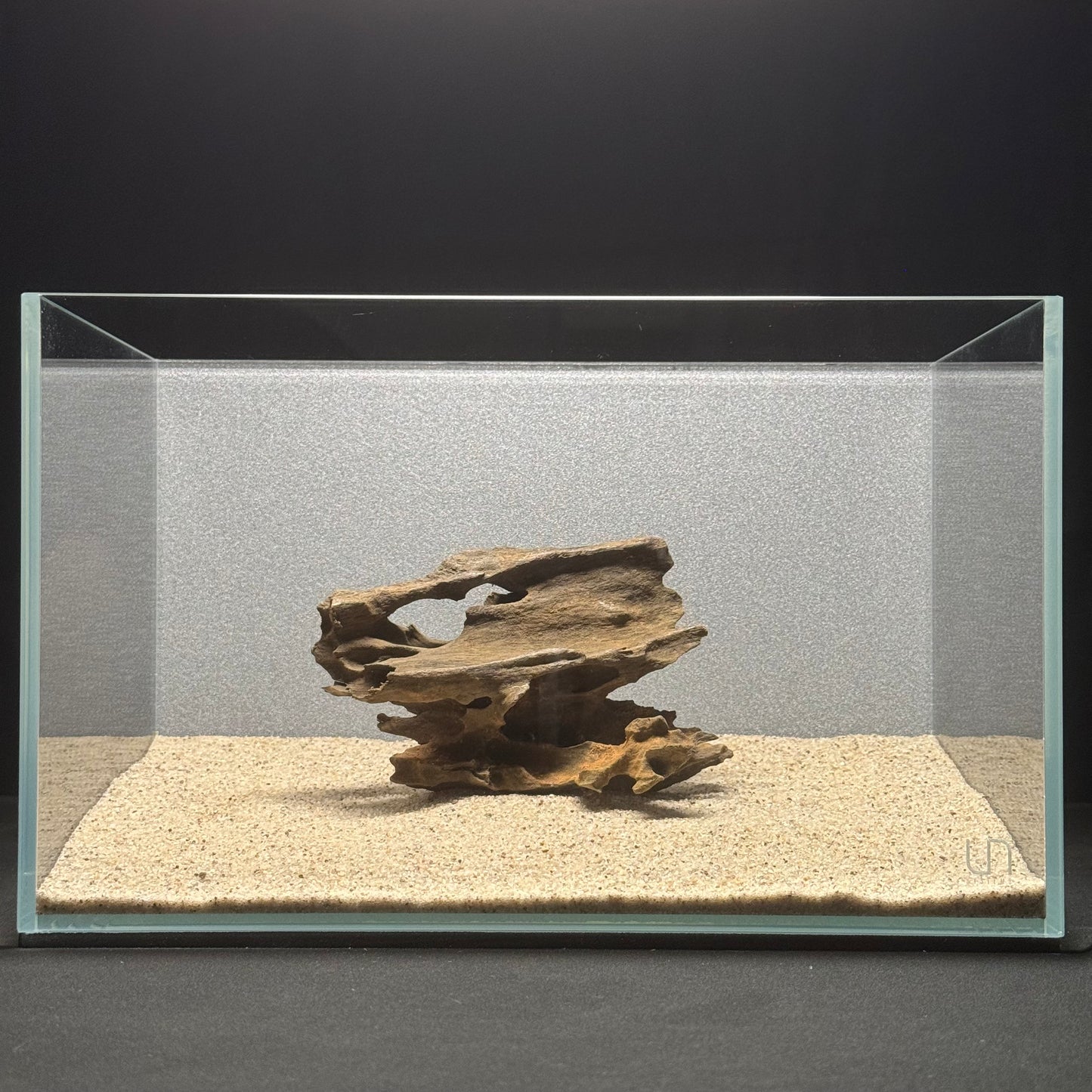 5”-8” Dragon Wood