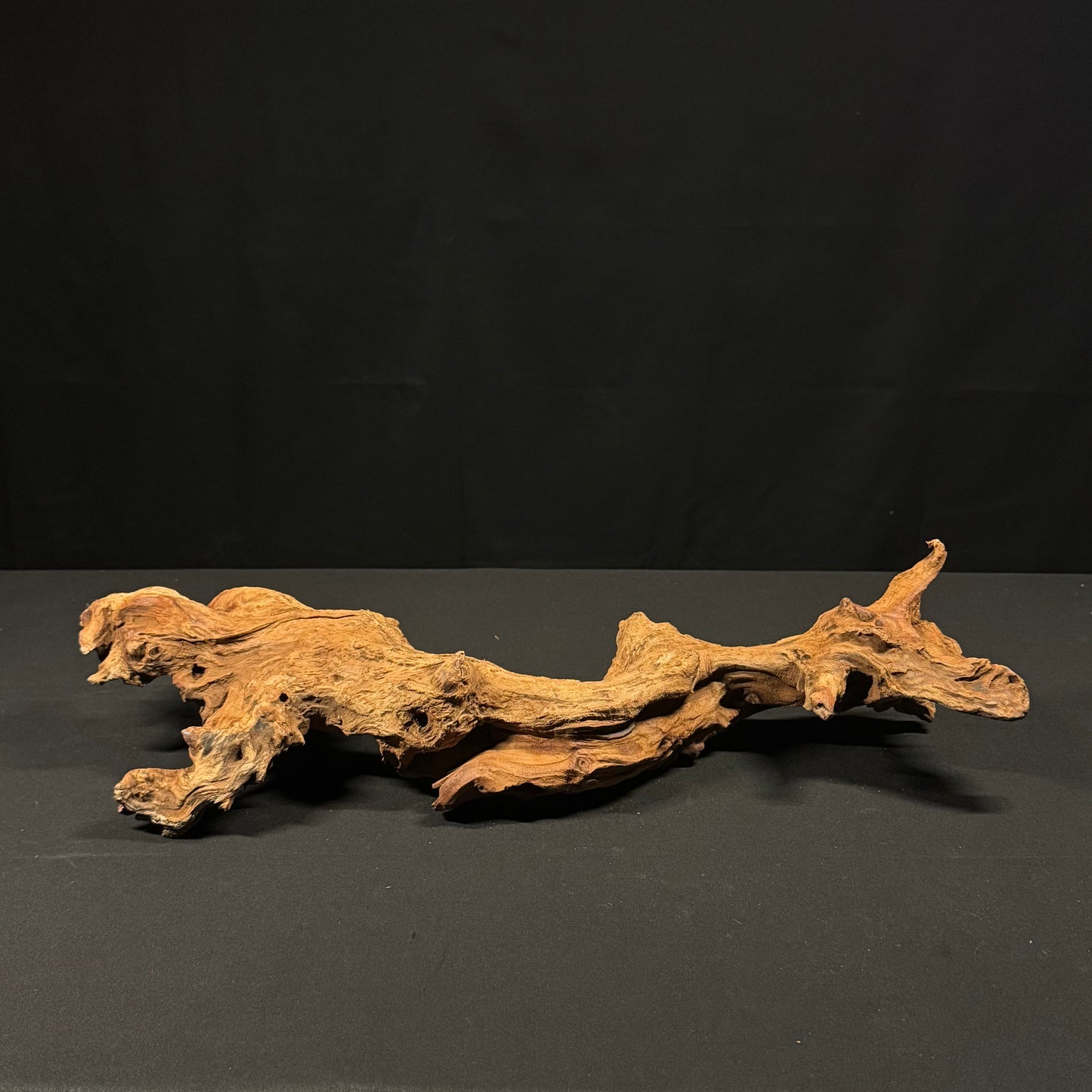 20” Malaysian Driftwood