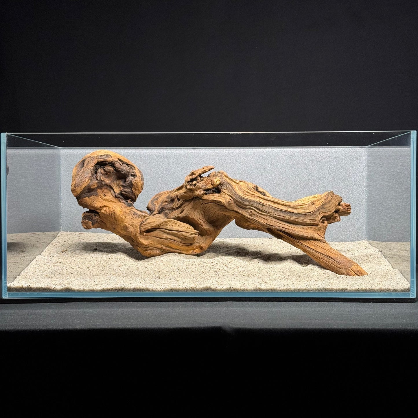 12”-16” Malaysian Driftwood