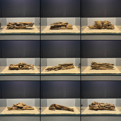 Dragon Wood for Aquarium (12-16")