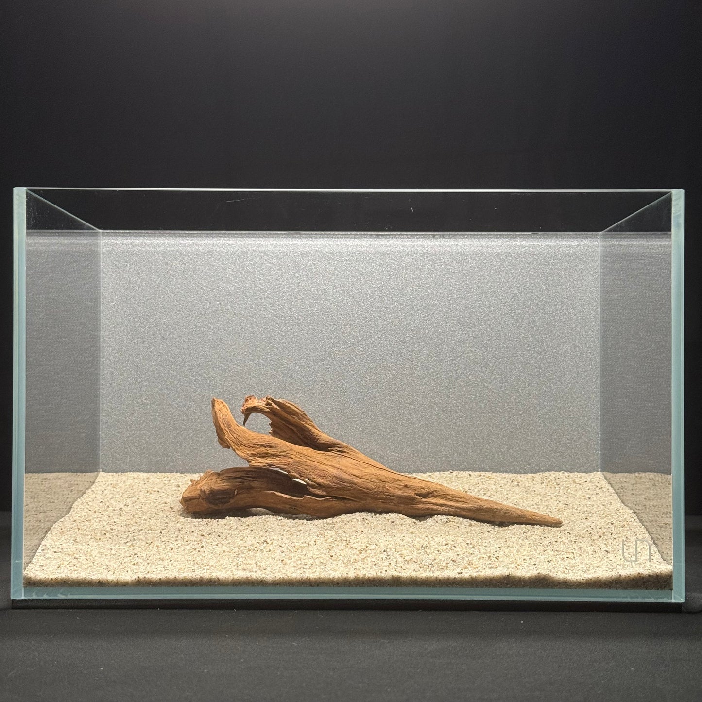 5”-8” Malaysian Driftwood