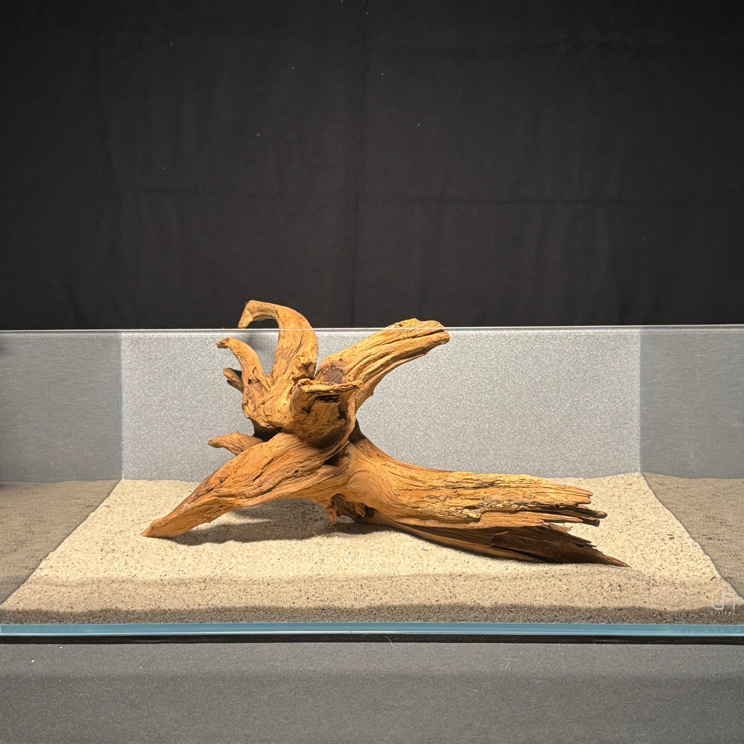 12”-16” Malaysian Driftwood