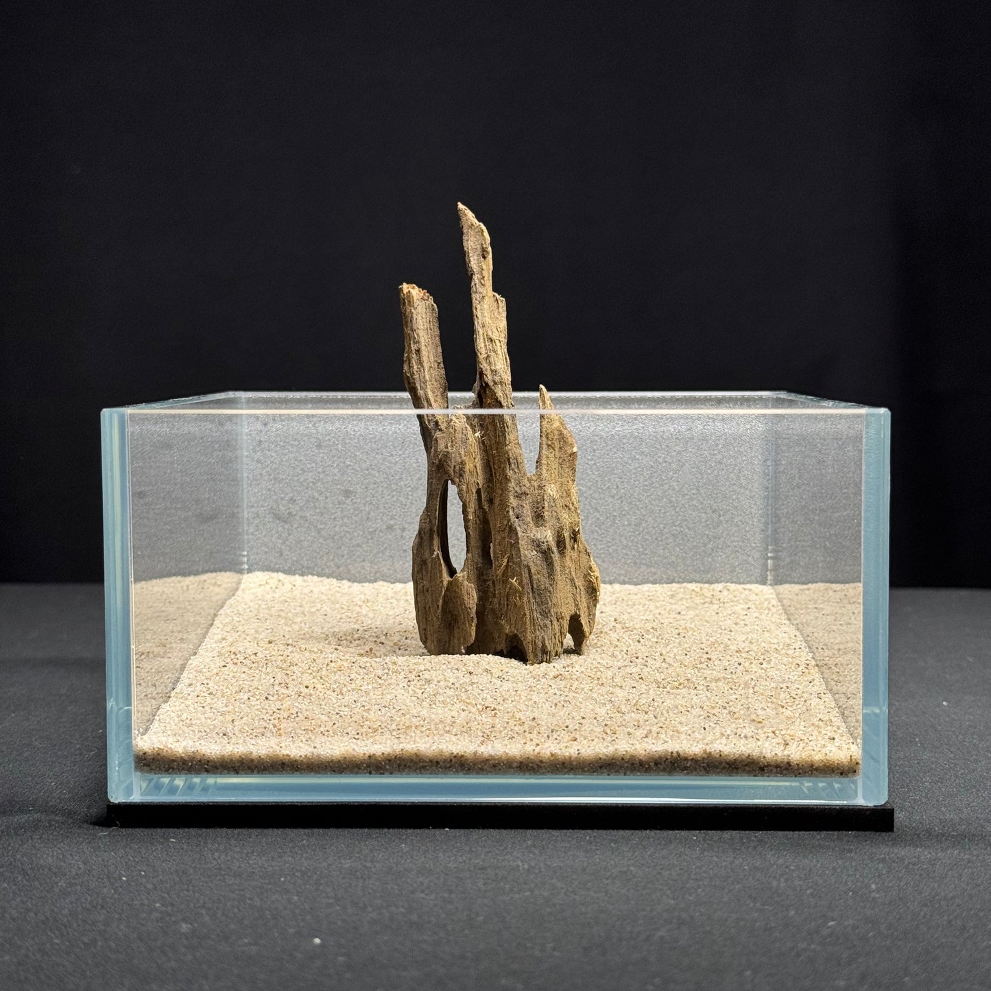 3”-5” Dragon Wood