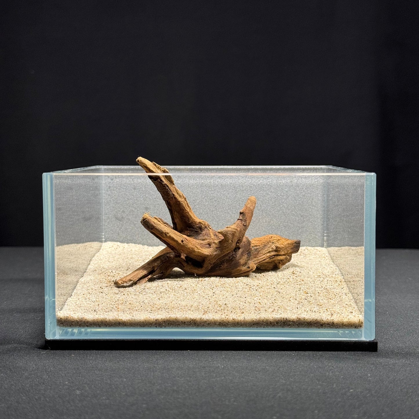 4”-6” Malaysian Driftwood (NEW)