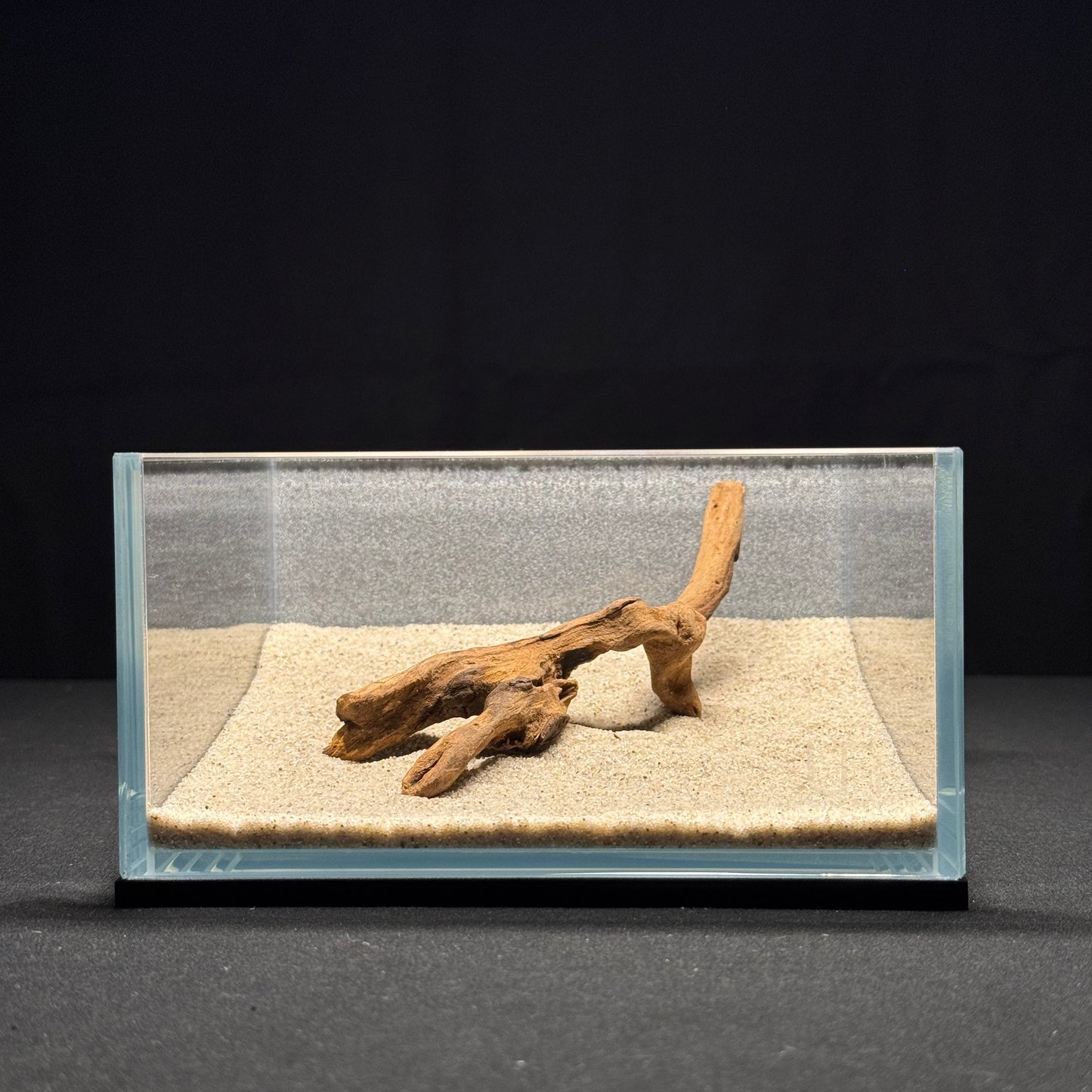 4”-6” Malaysian Driftwood