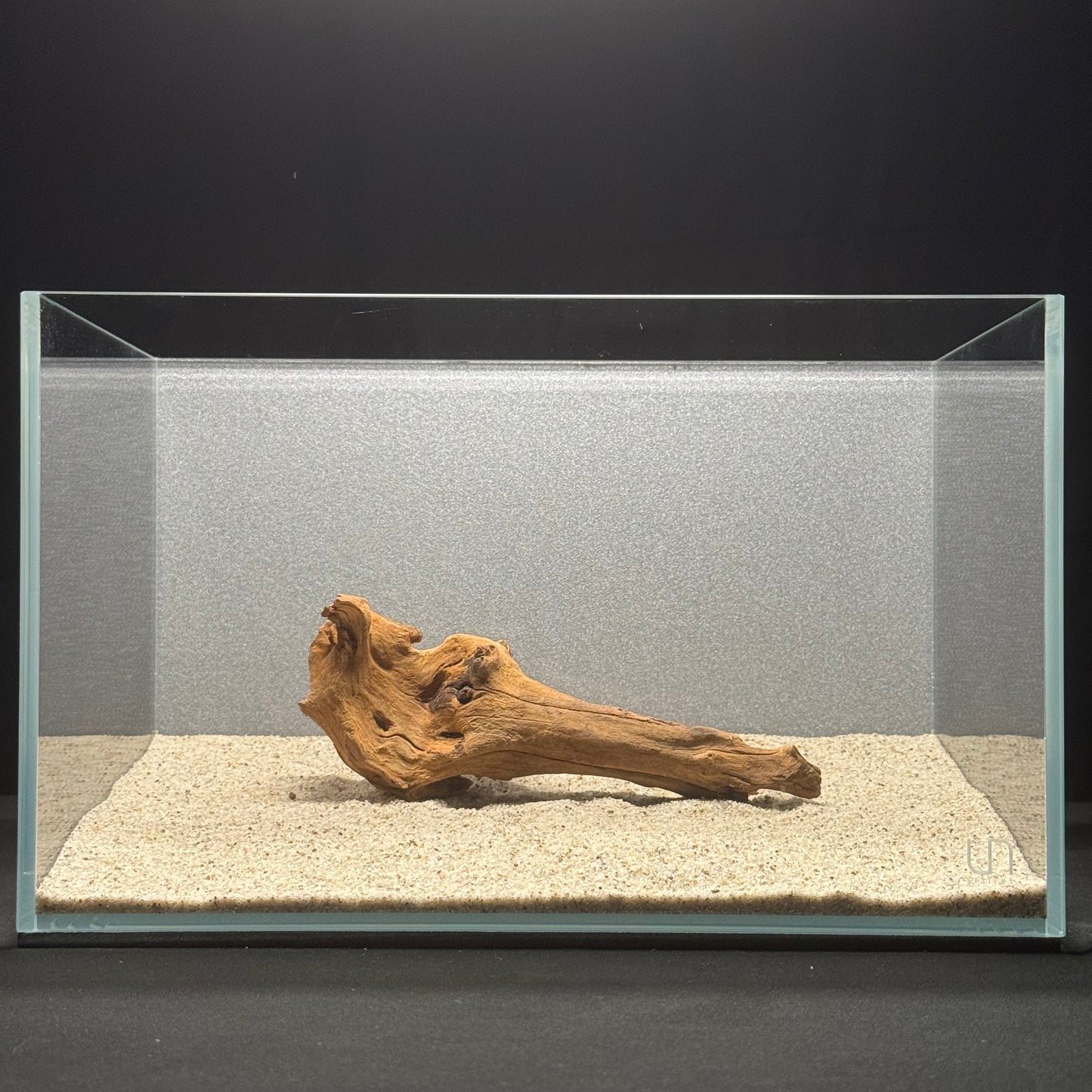 5”-8” Malaysian Driftwood