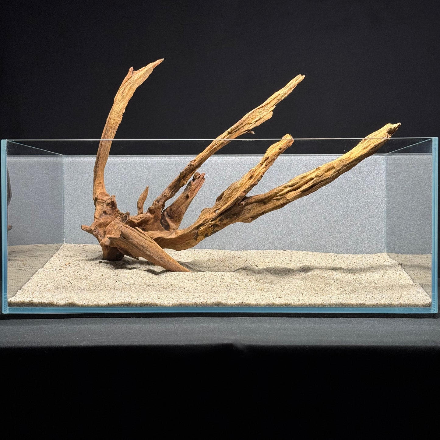 12”-16” Malaysian Driftwood