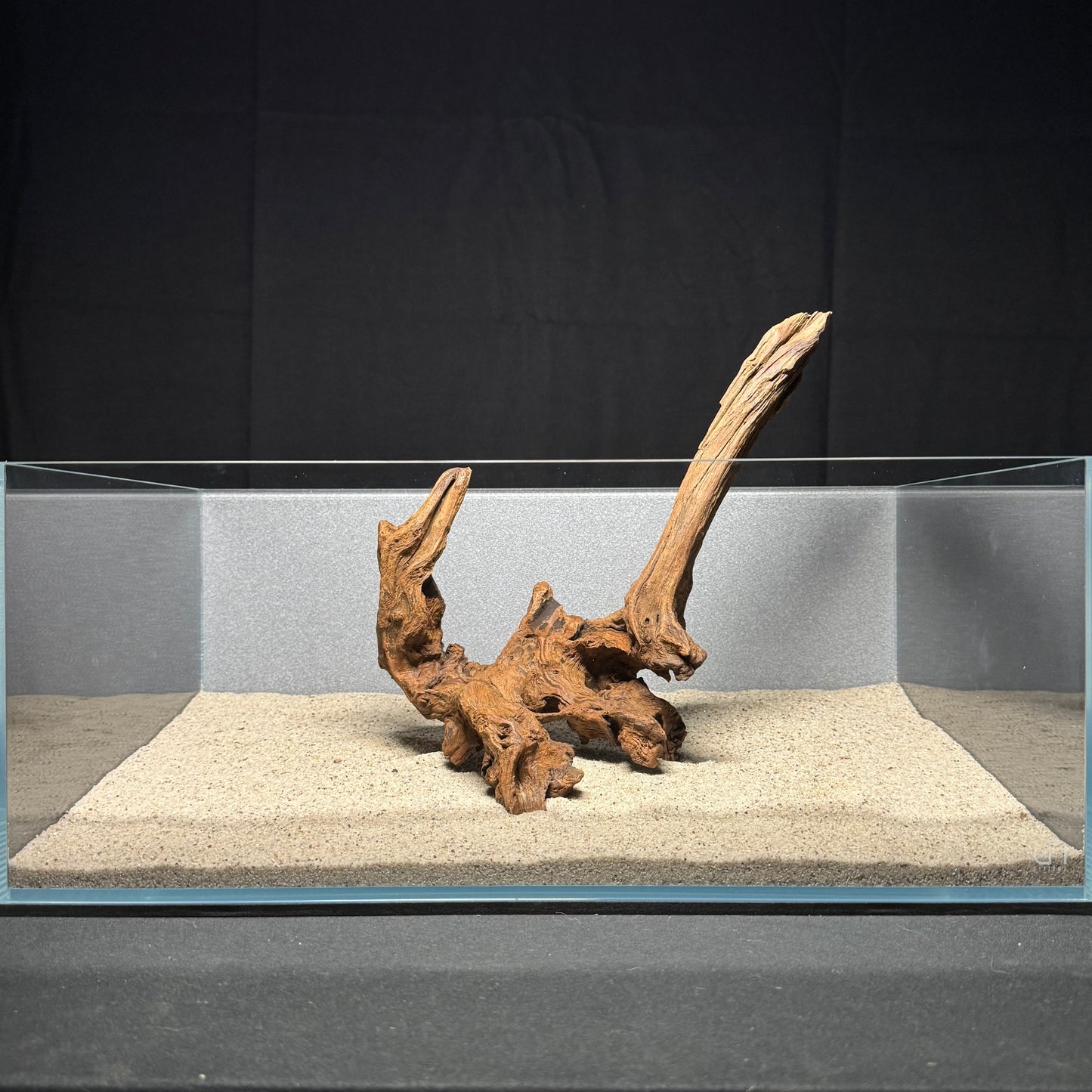 12”-14” Malaysian Driftwood