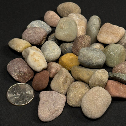 Patagonia Pebbles