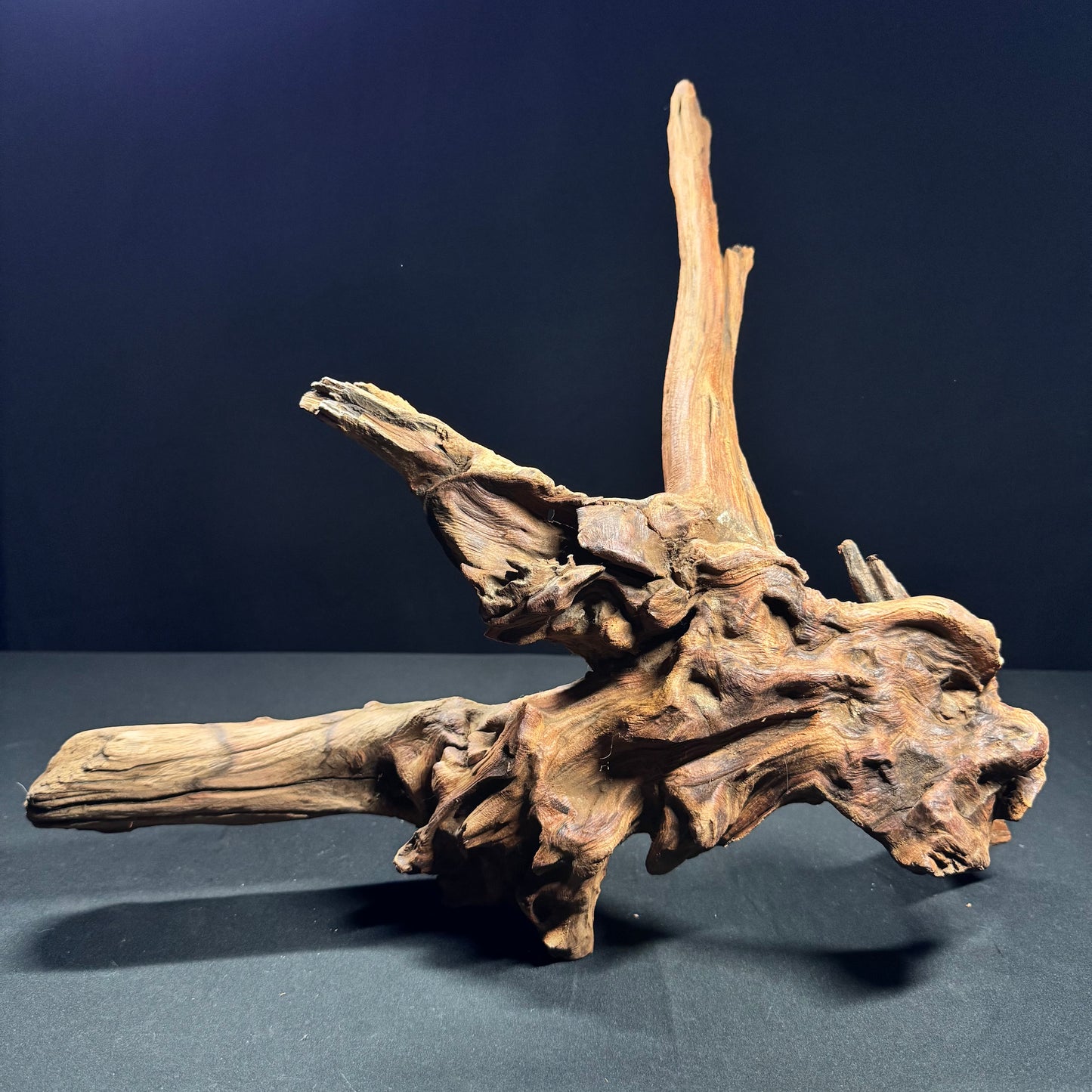 18” Malaysian Driftwood