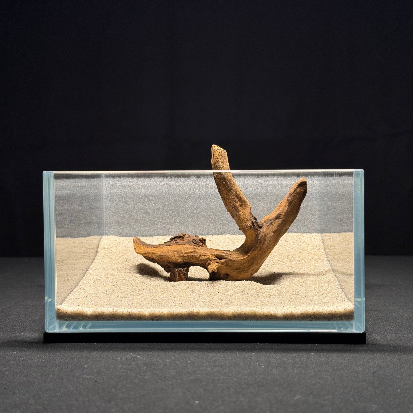 4”-6” Malaysian Driftwood