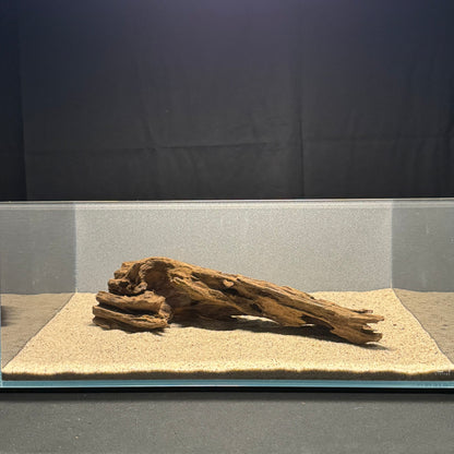 Dragon Wood for Aquarium (12-16")