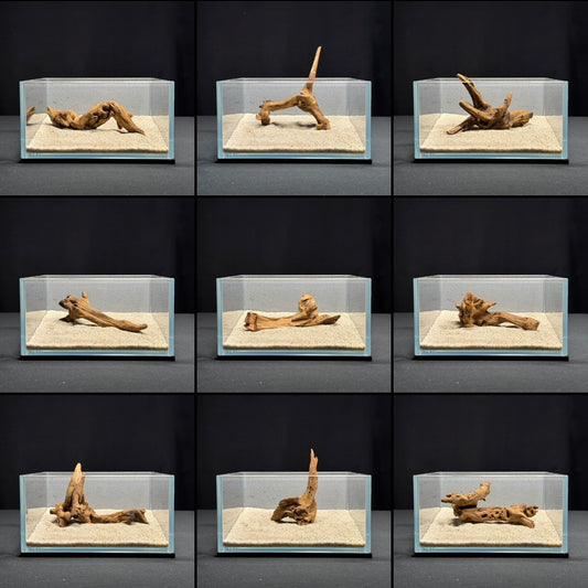 4”-6” Malaysian Driftwood (NEW)