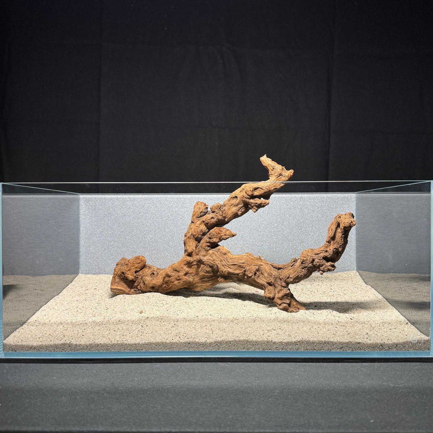 11”-14” Malaysian Driftwood