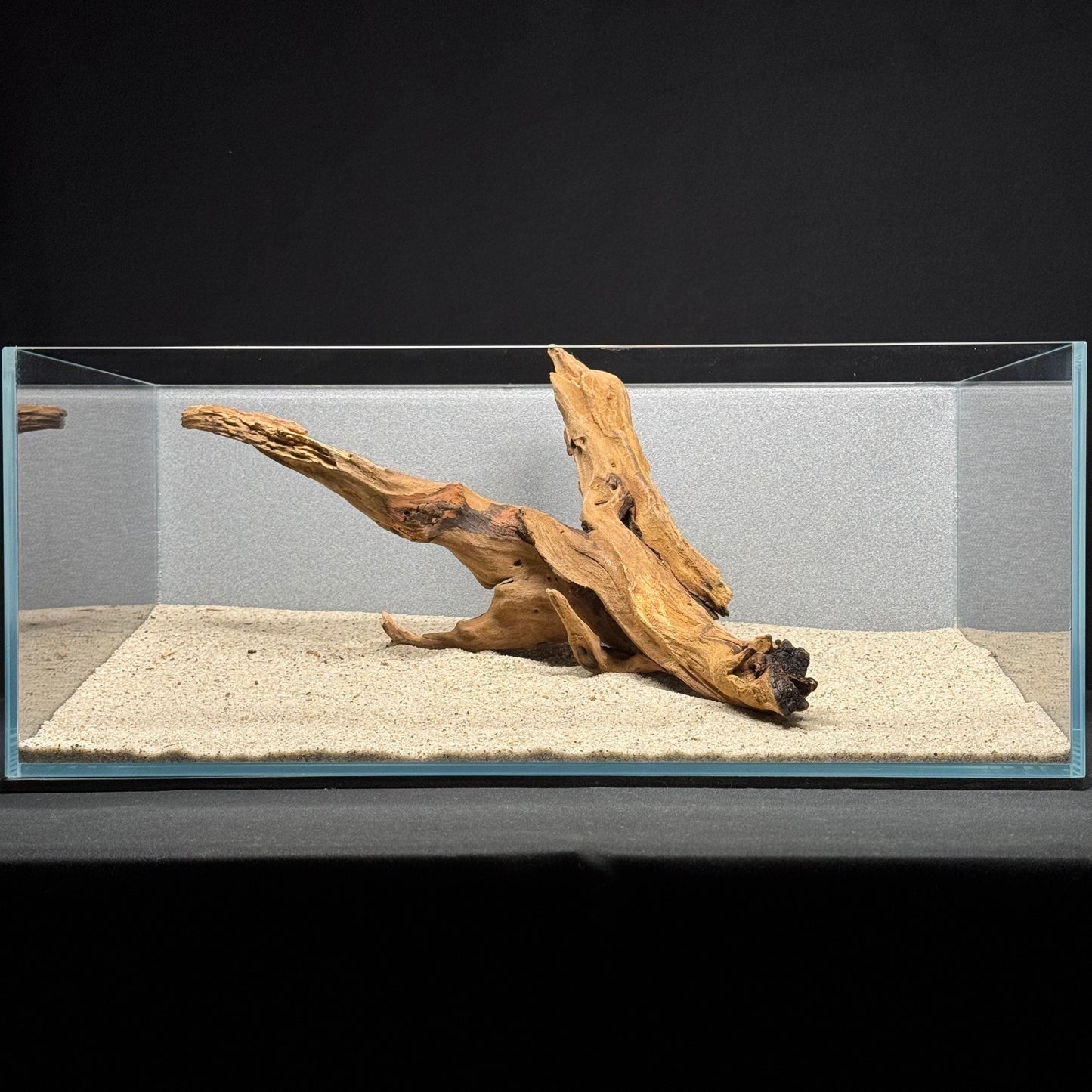 12”-14” Malaysian Driftwood