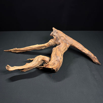 21” Malaysian Driftwood