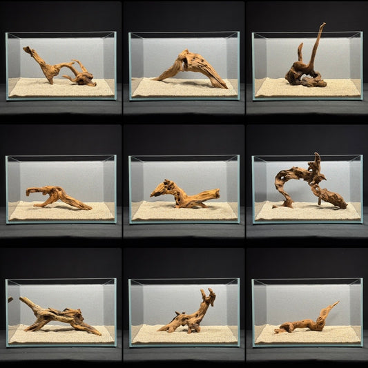 9”-11” Malaysian Driftwood