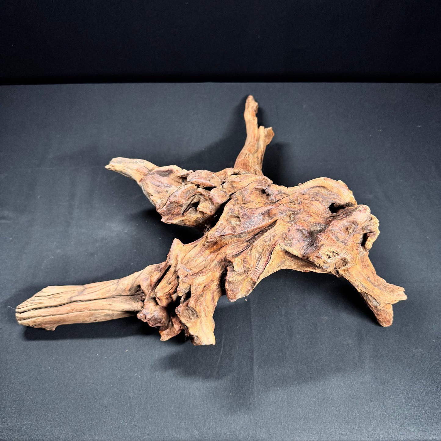 18” Malaysian Driftwood