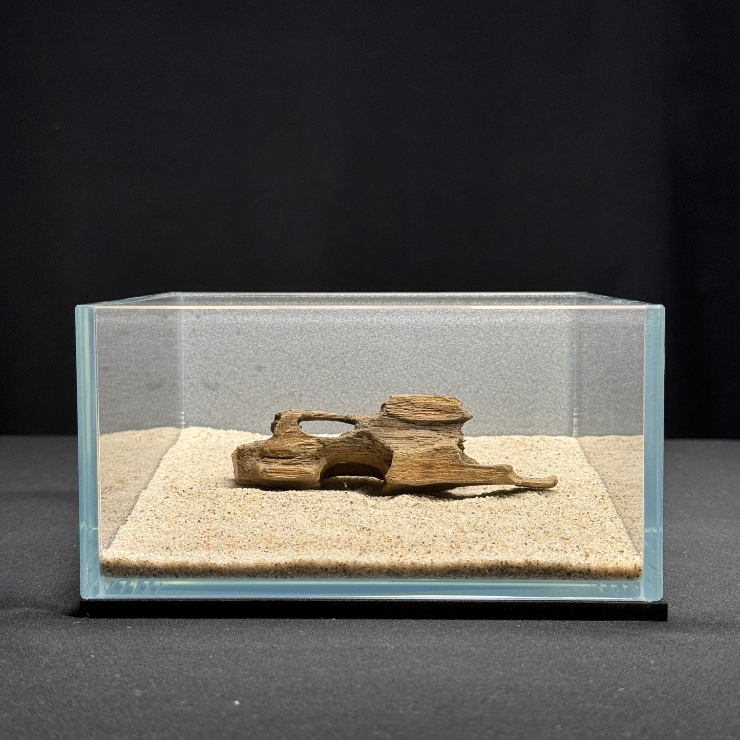 3”-5” Dragon Wood