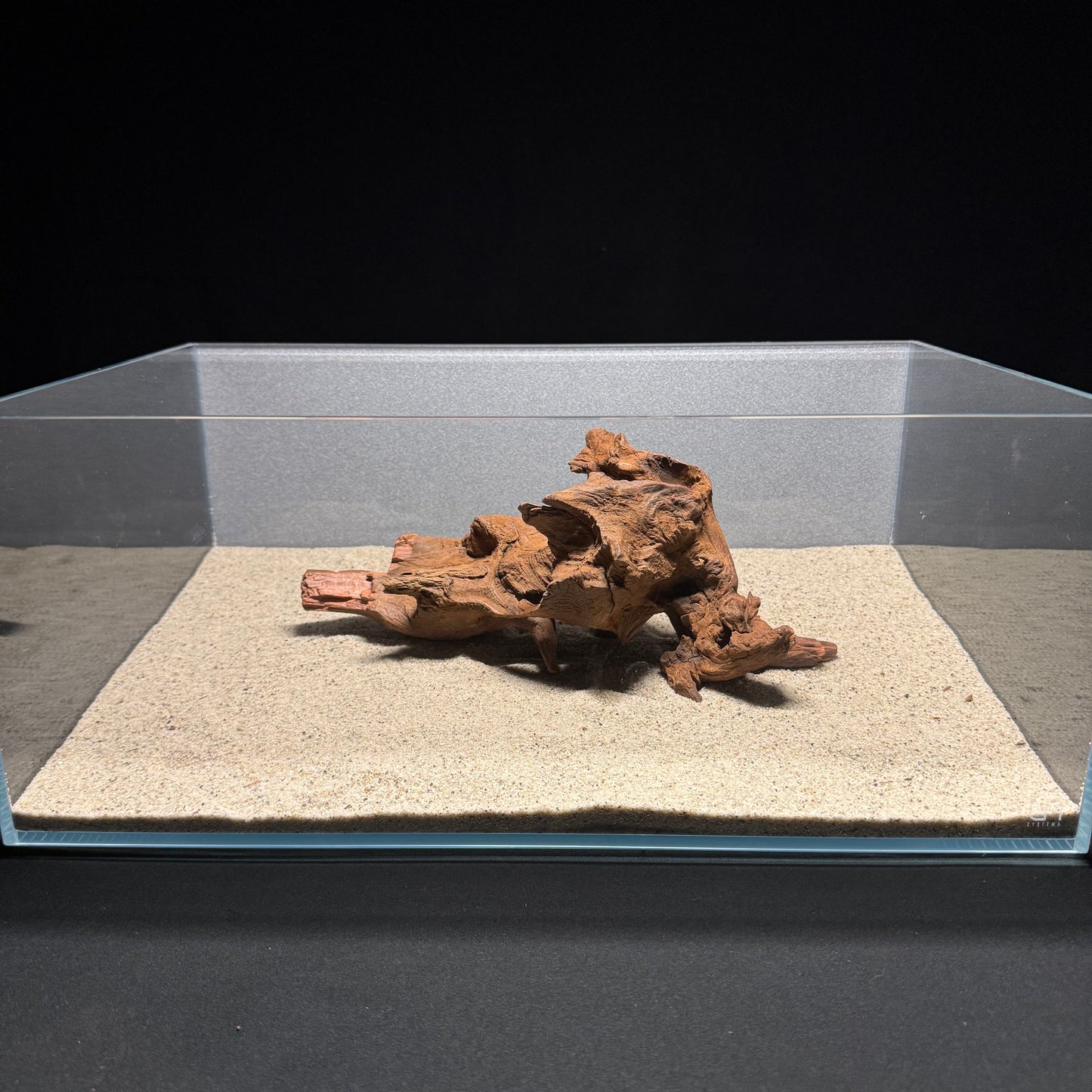 10”-12” Malaysian Driftwood [Tannins]