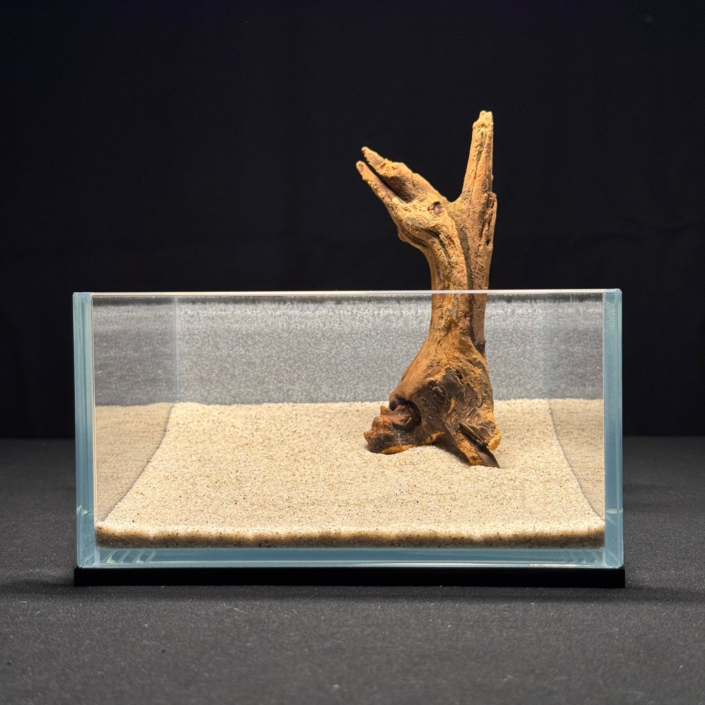 5"-6” Malaysian Driftwood