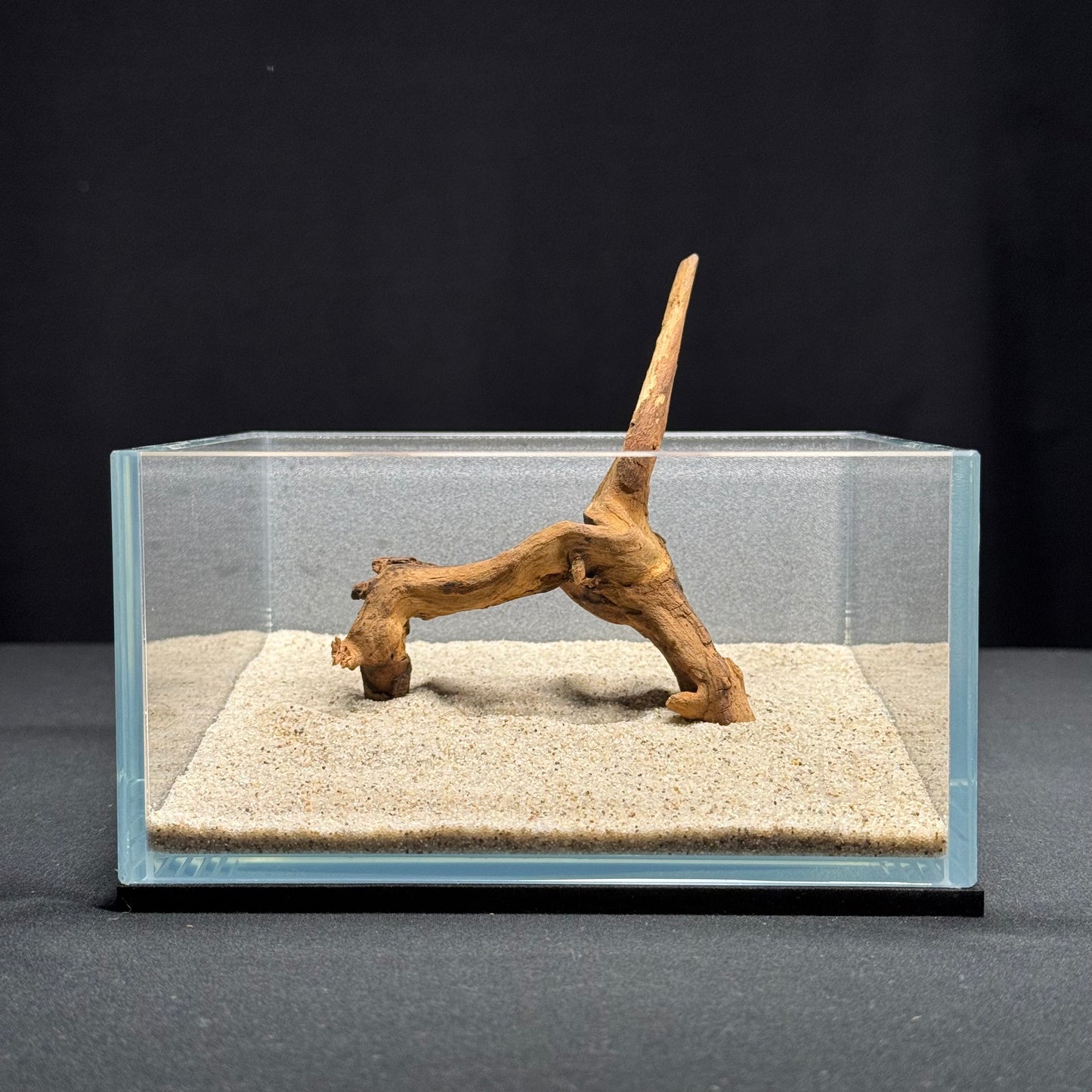 4”-6” Malaysian Driftwood (NEW)