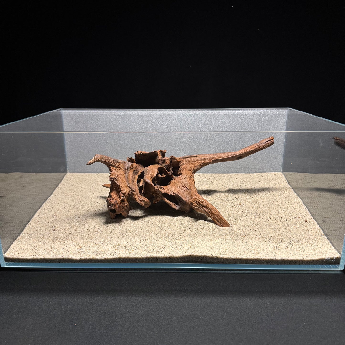 10”-12” Malaysian Driftwood [Tannins]