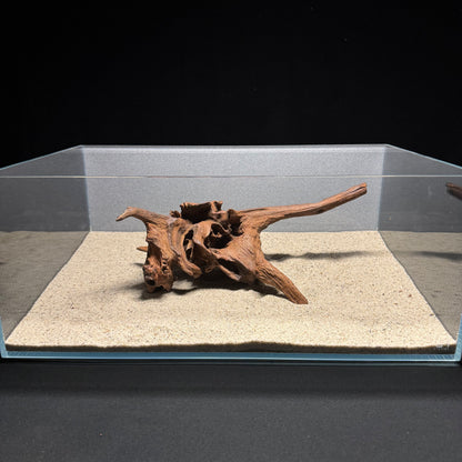 10”-12” Malaysian Driftwood [Tannins]