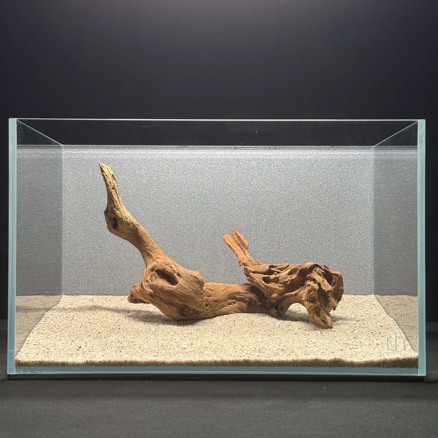 9”-11” Malaysian Driftwood