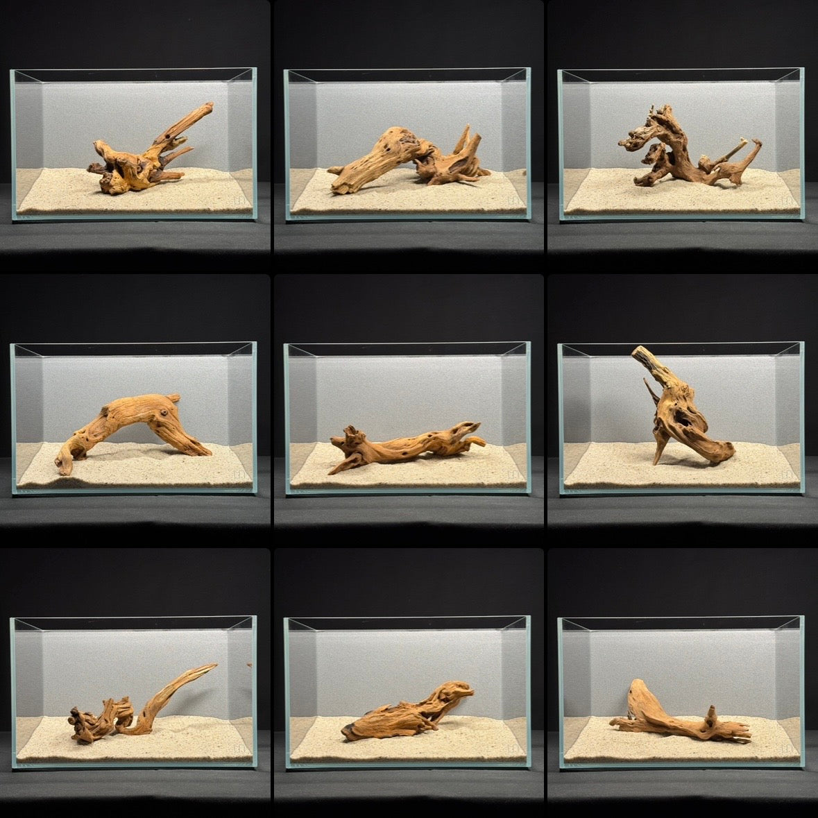 8”-10” Malaysian Driftwood (NEW)